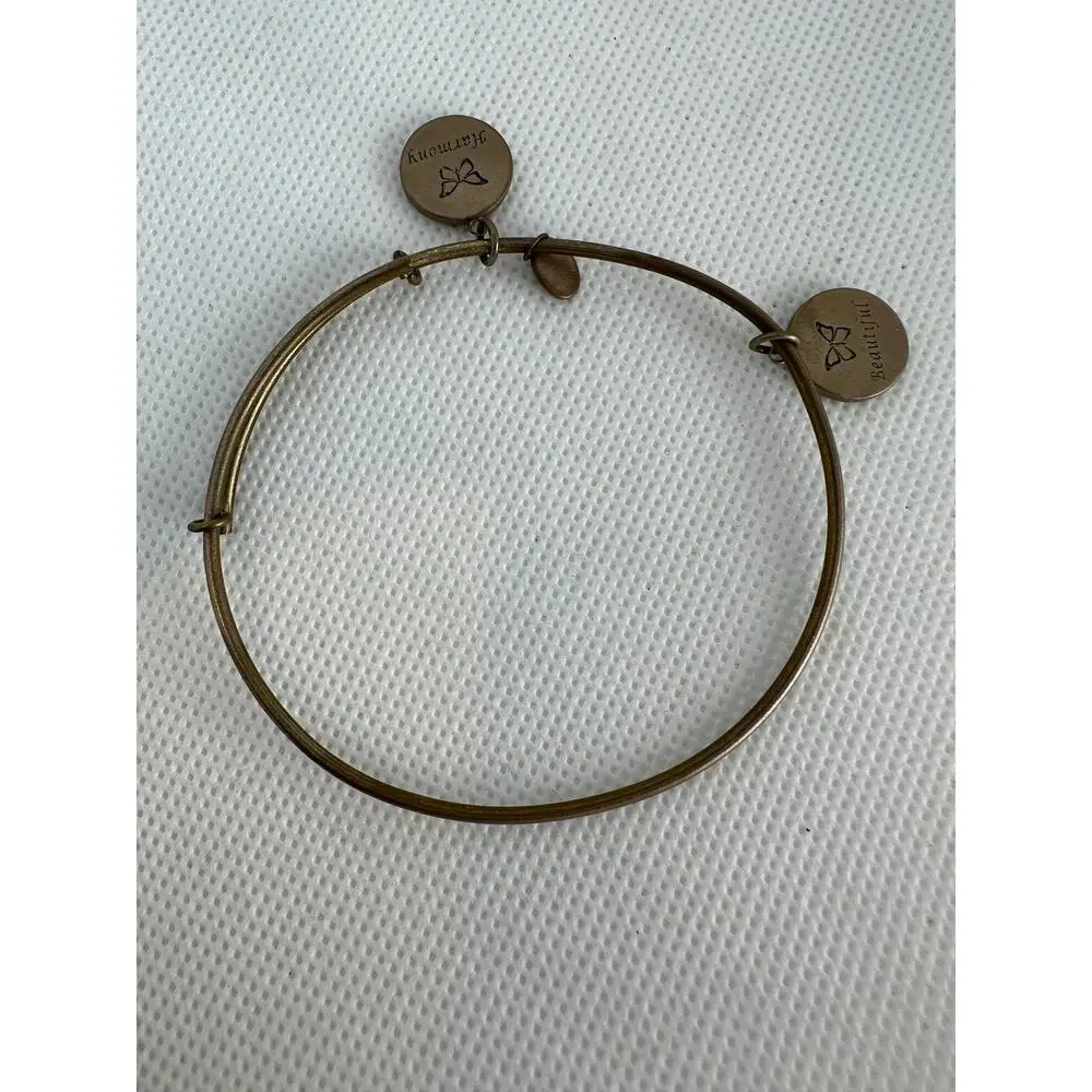 Alex and Ani Bracelet Path of Life